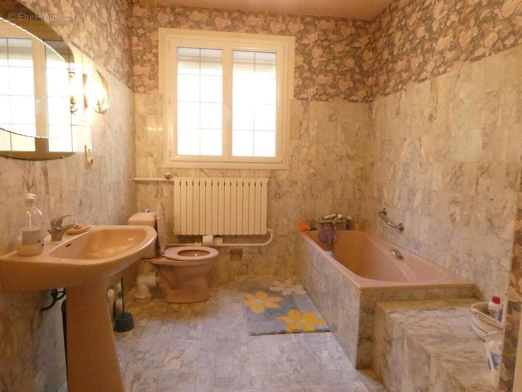 Maison à VIENNE-EN-VAL