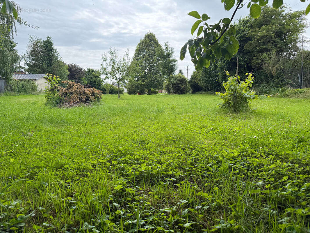 Terrain à vendre à Autremencourt - 1517 m² - photo 4