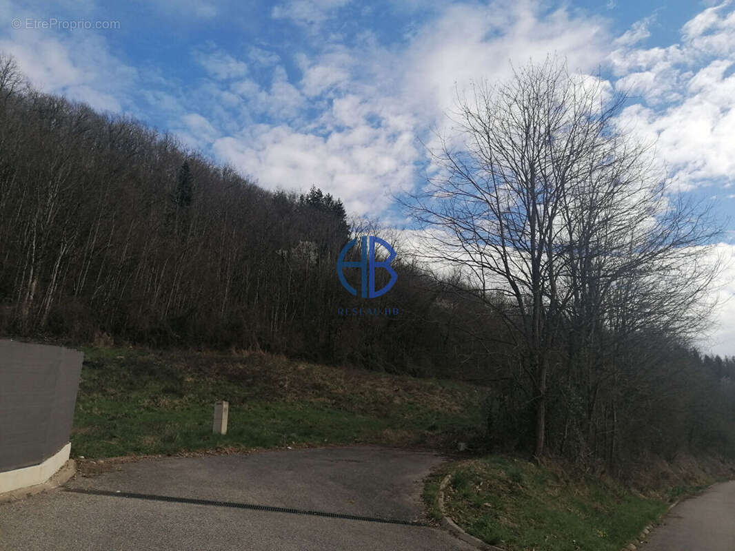 Terrain à CHAZEY-BONS