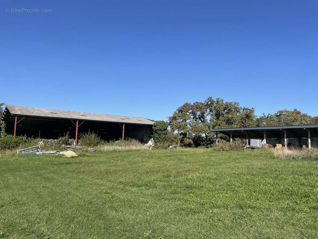 Maison à LABASTIDE-D&#039;ARMAGNAC