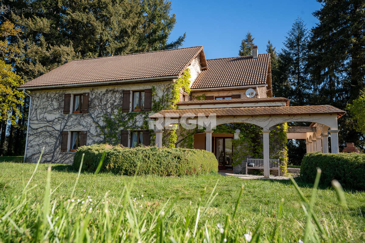 Domaine d’exception de 54,5 hectares avec maison de 300 m2, étang privé, piscine et 1 500 m2 de dépendances - photo 3