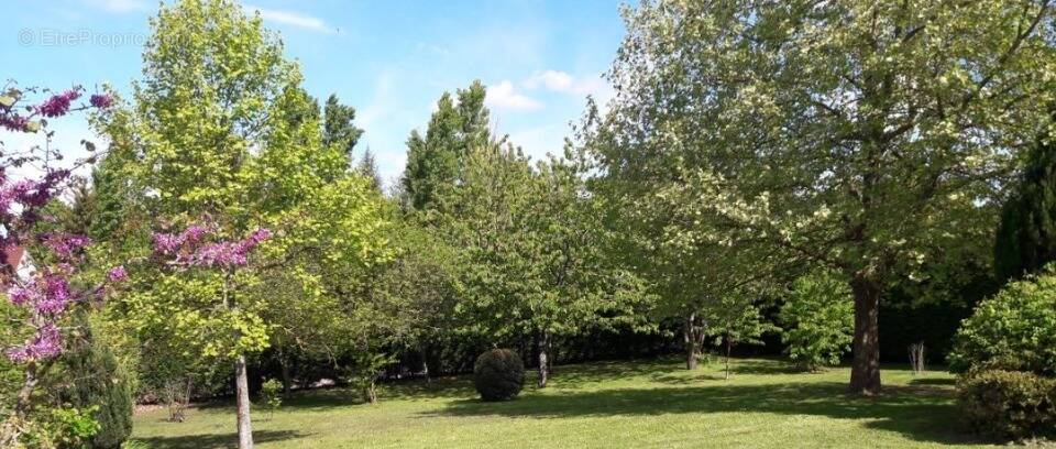 Terrain à DAMMARIE-LES-LYS