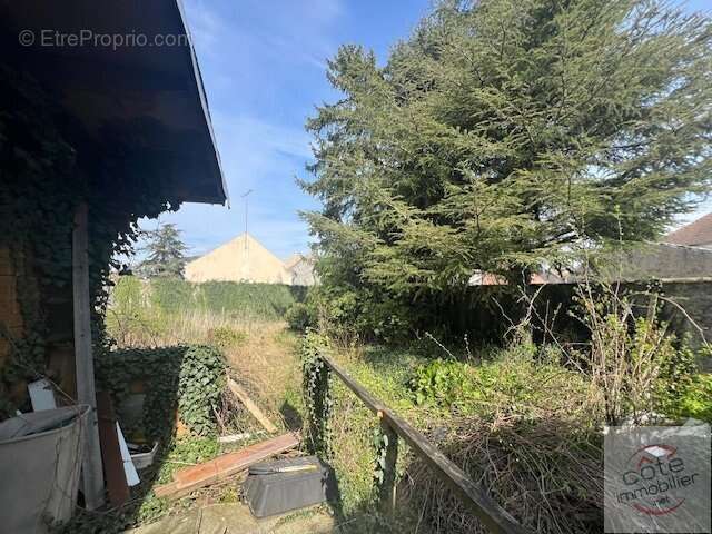 Terrain à OYSONVILLE