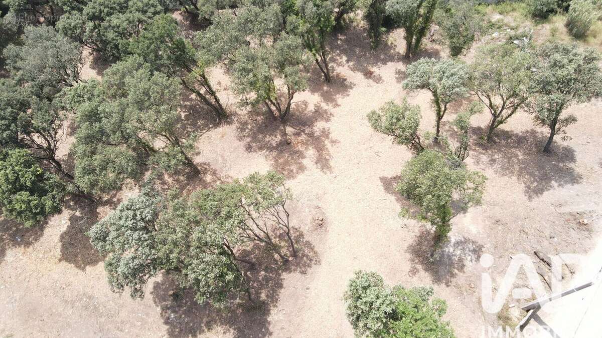 Photo 5 - Terrain à BEDARRIDES