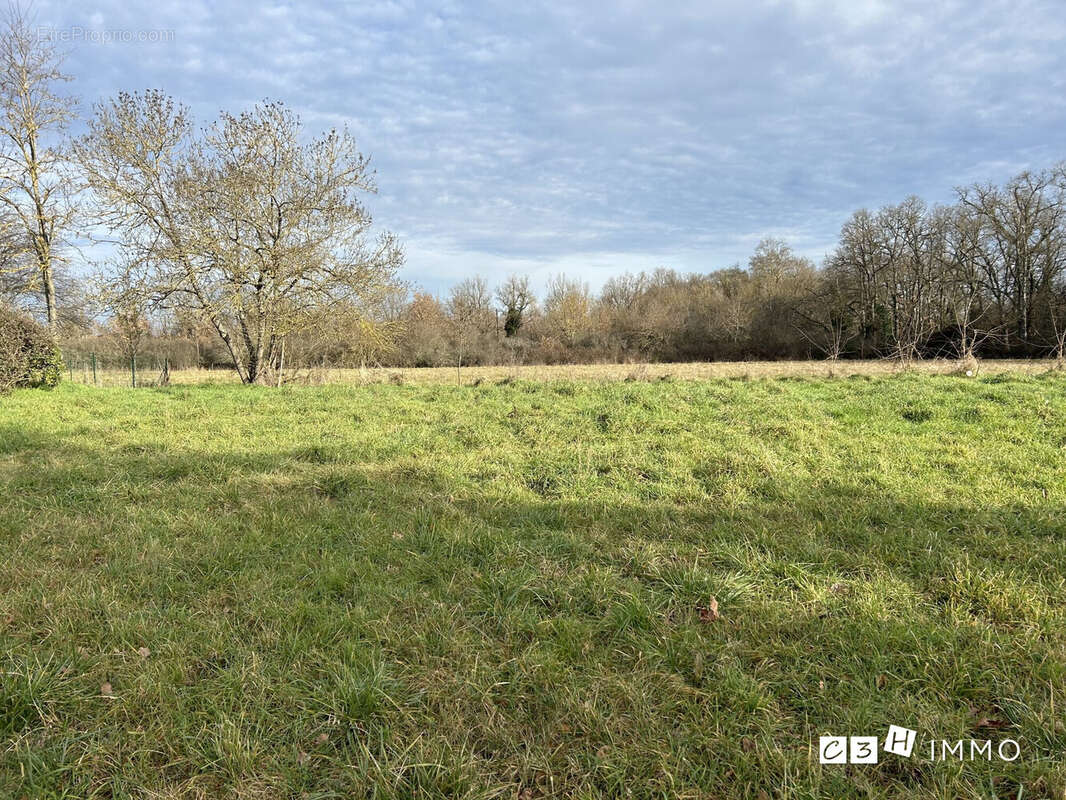 Terrain à LHERM