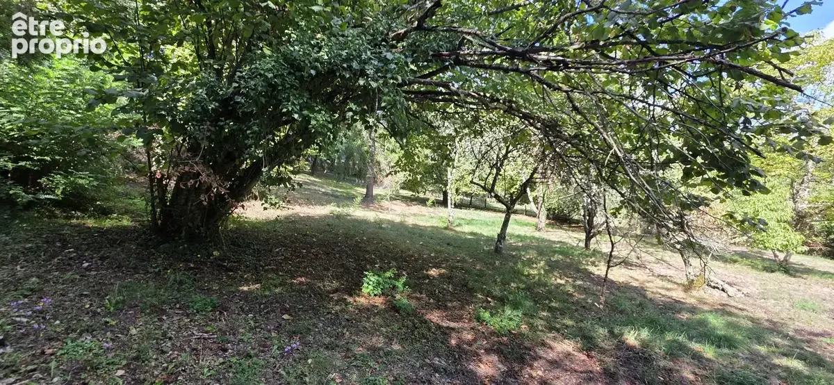 MONTMORILLON  centre : Maison ancienne 100² .m² hab.3ch . Terrain clos . - photo 12