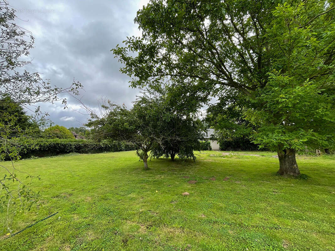 Terrain à LE TORQUESNE