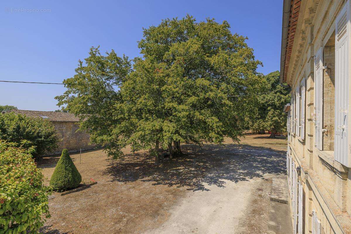 Maison bourgeoise - photo 14