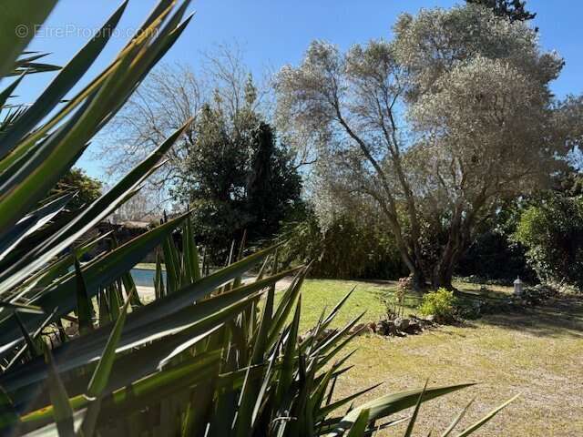 Maison à SAINT-ANDRE-DE-SANGONIS