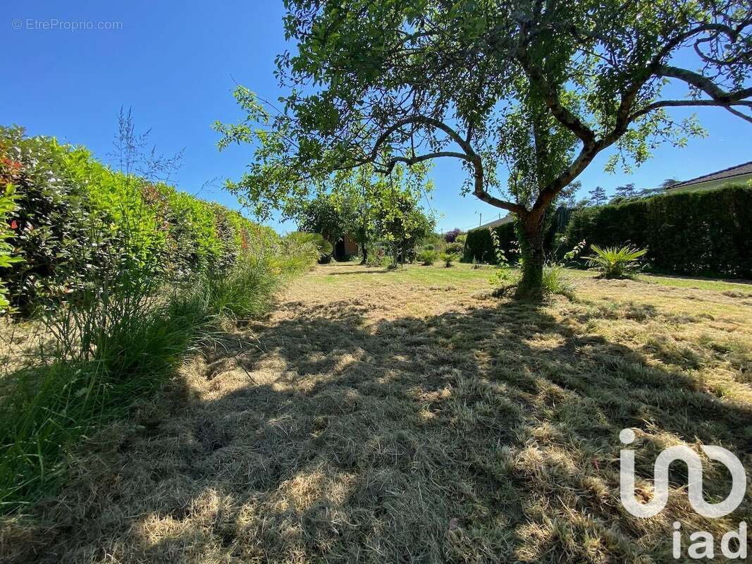 Photo 4 - Terrain à NERAC