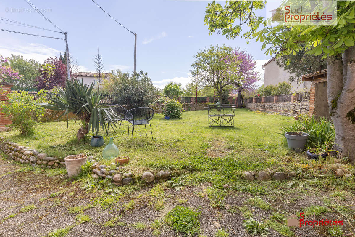 jardin avant - Maison à LAGARDELLE-SUR-LEZE