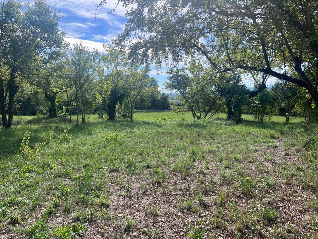 Terrain à SAINT-JEAN-DE-MARUEJOLS-ET-AVEJAN