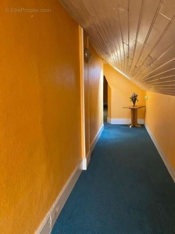 Photo 8 - Commerce à PLOMBIERES-LES-BAINS