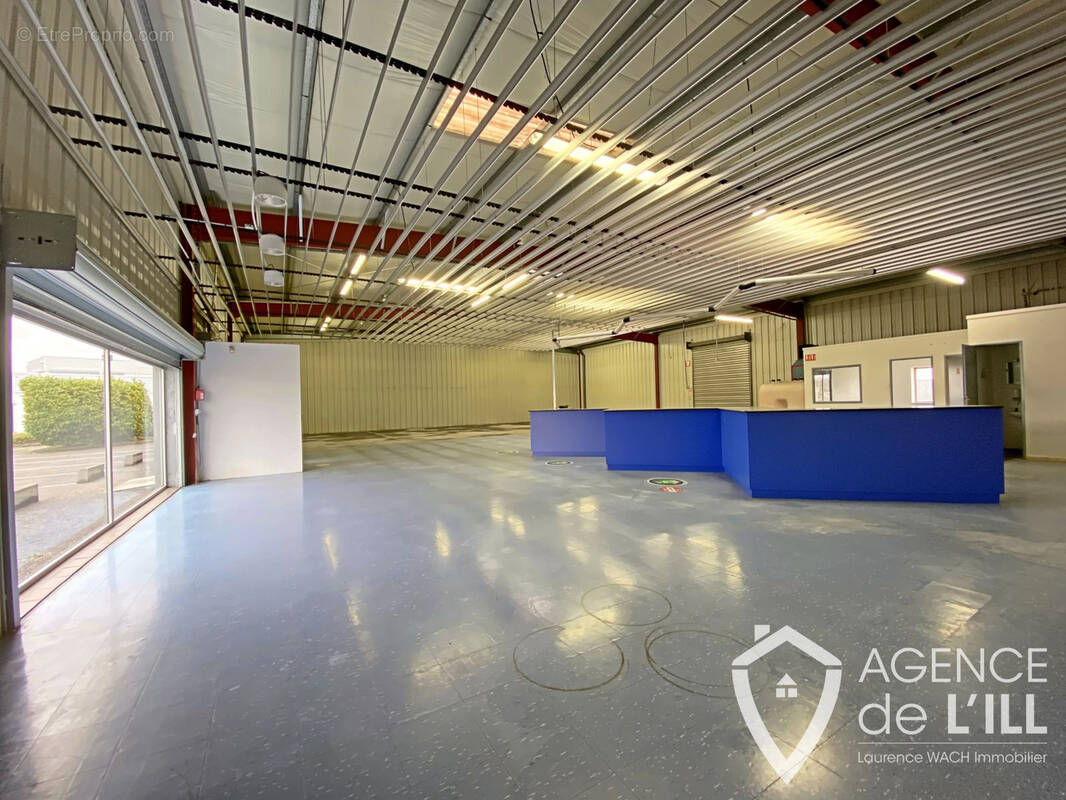 Commerce à SELESTAT