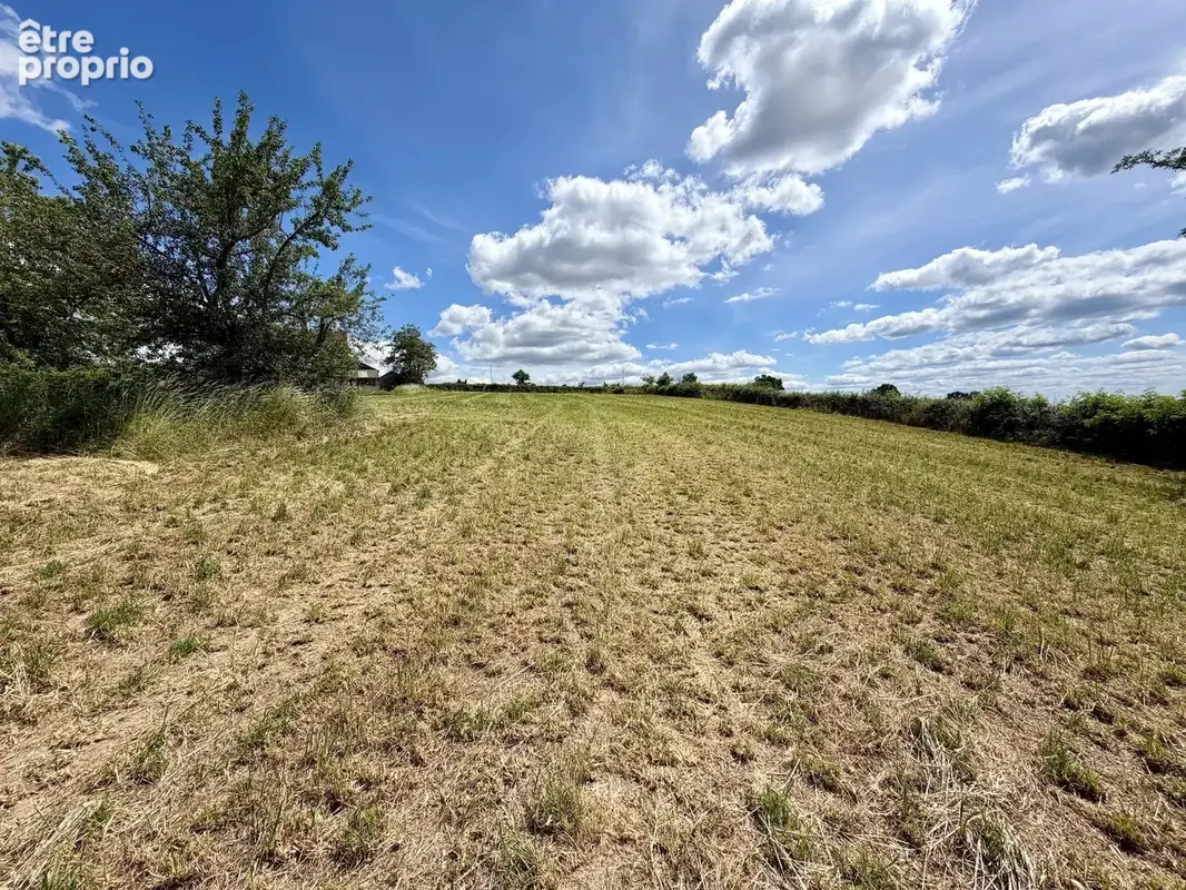 Grand ensemble, entièrement isolé avec 1,4 hectare à vendre près de Remilly - photo 61