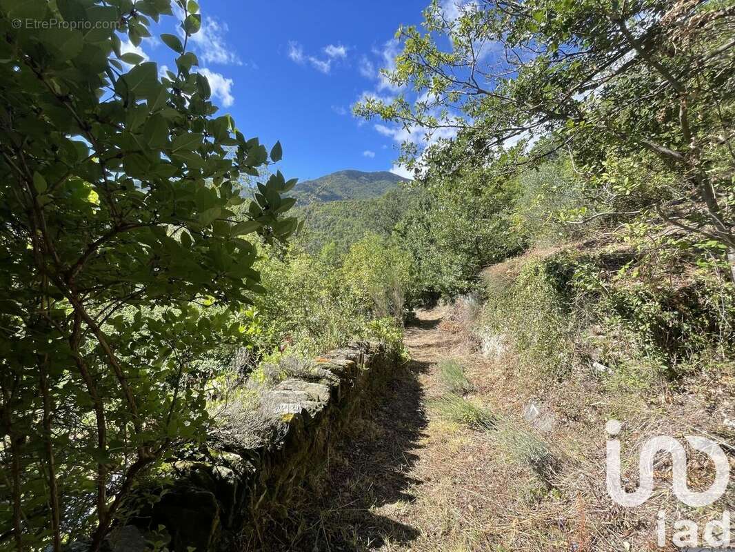 Photo 9 - Maison à LA BASTIDE