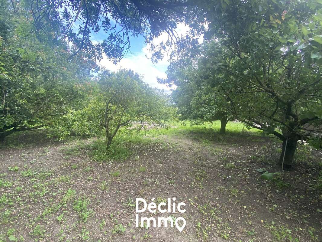 Terrain à SAINT-FROULT