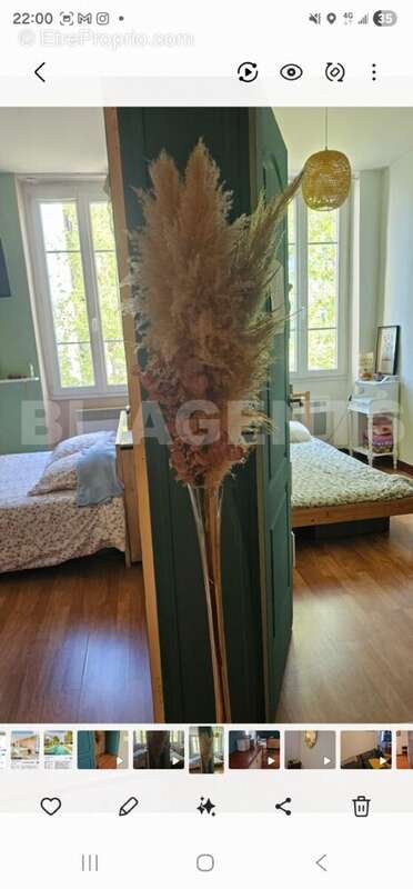 IMG-20251203-WA0001 - Appartement à MARSEILLE-6E