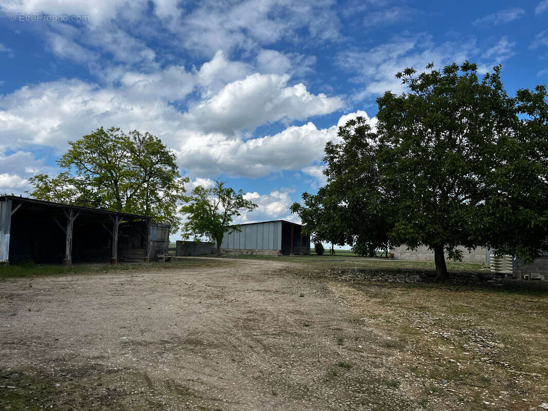 Corps de ferme rénové avec nombreuses dépendances, possibilité de 5 hectares - photo 12