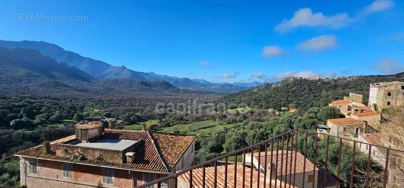 Demeure de caractère au cœur de la Balagne – Vue panoramique, terrasses et fort potentiel - photo 2