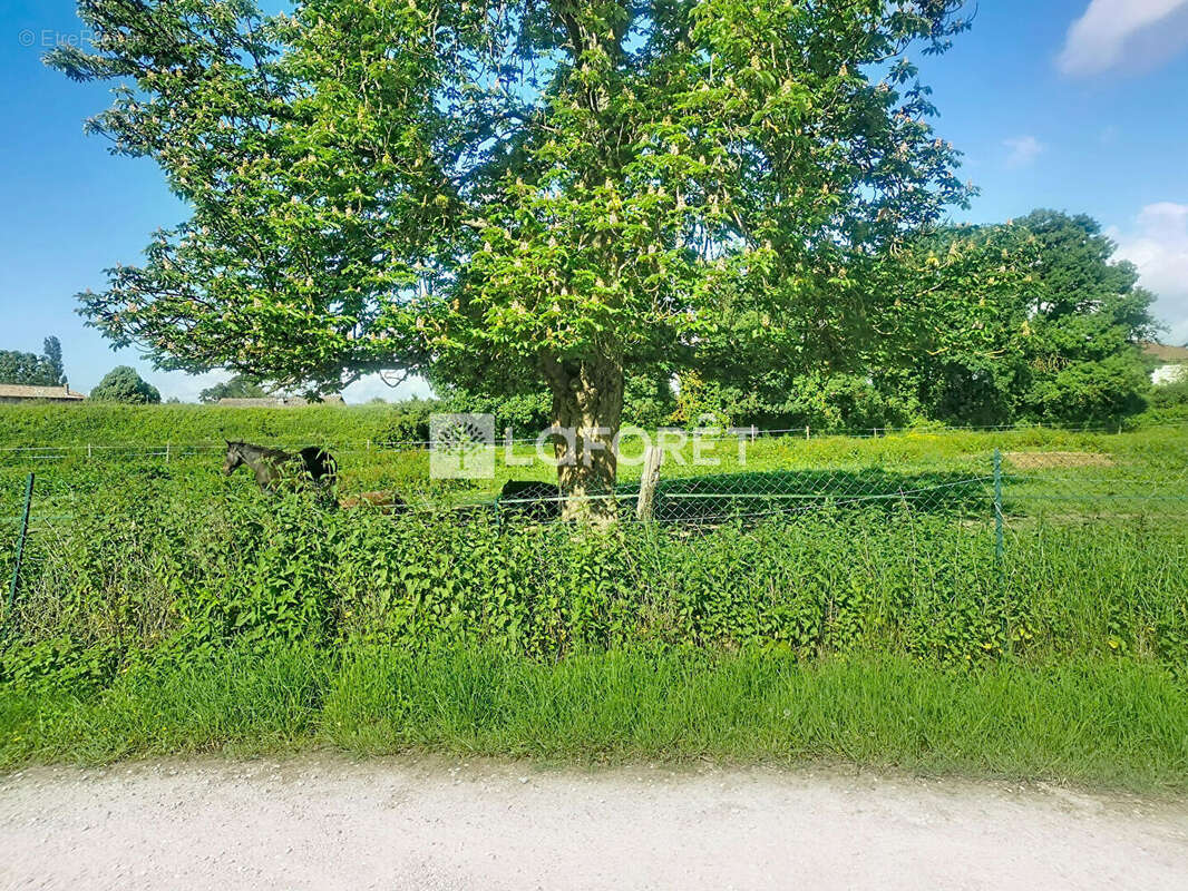 Maison à PARCIEUX