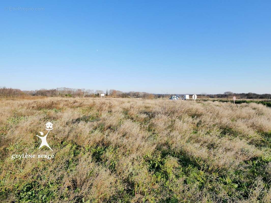 Terrain à LE CAILAR