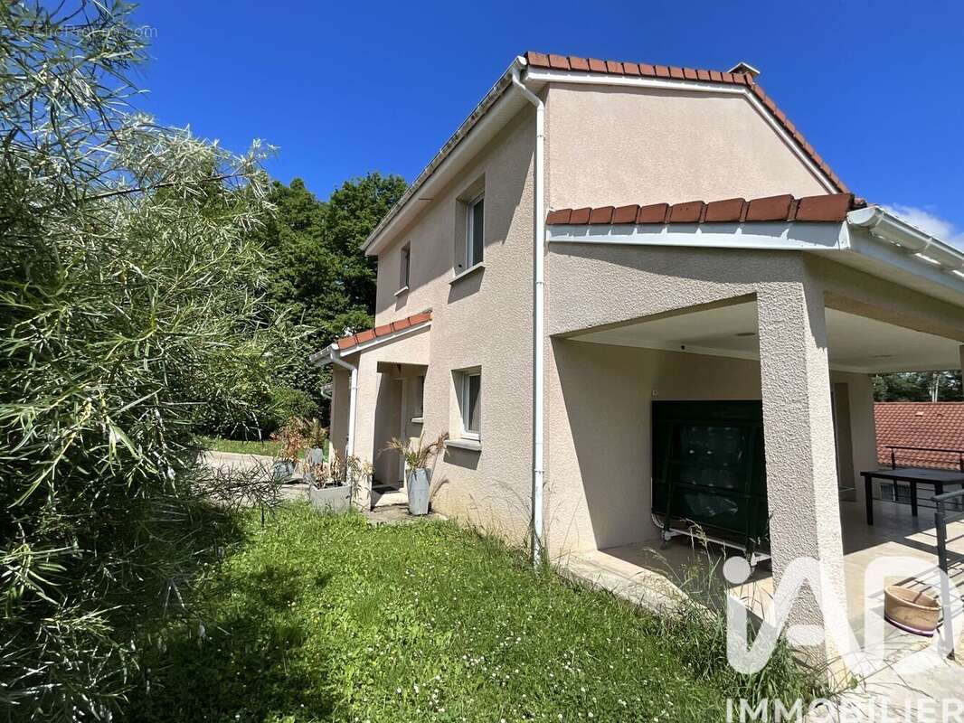 Photo 3 - Maison à VILLIEU-LOYES-MOLLON