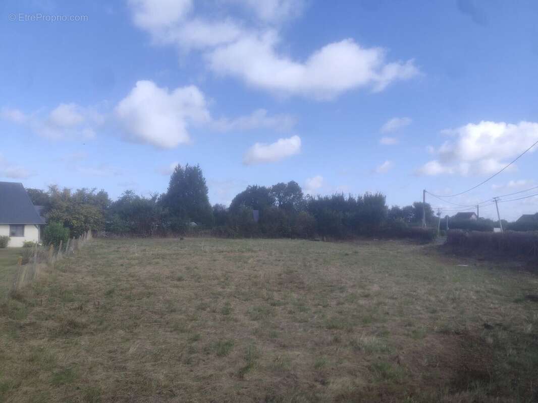Photo 4 - Terrain à ILLEVILLE-SUR-MONTFORT