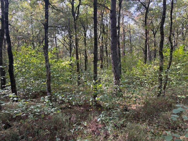 Terrain à VILLEFRANCHE-SUR-CHER