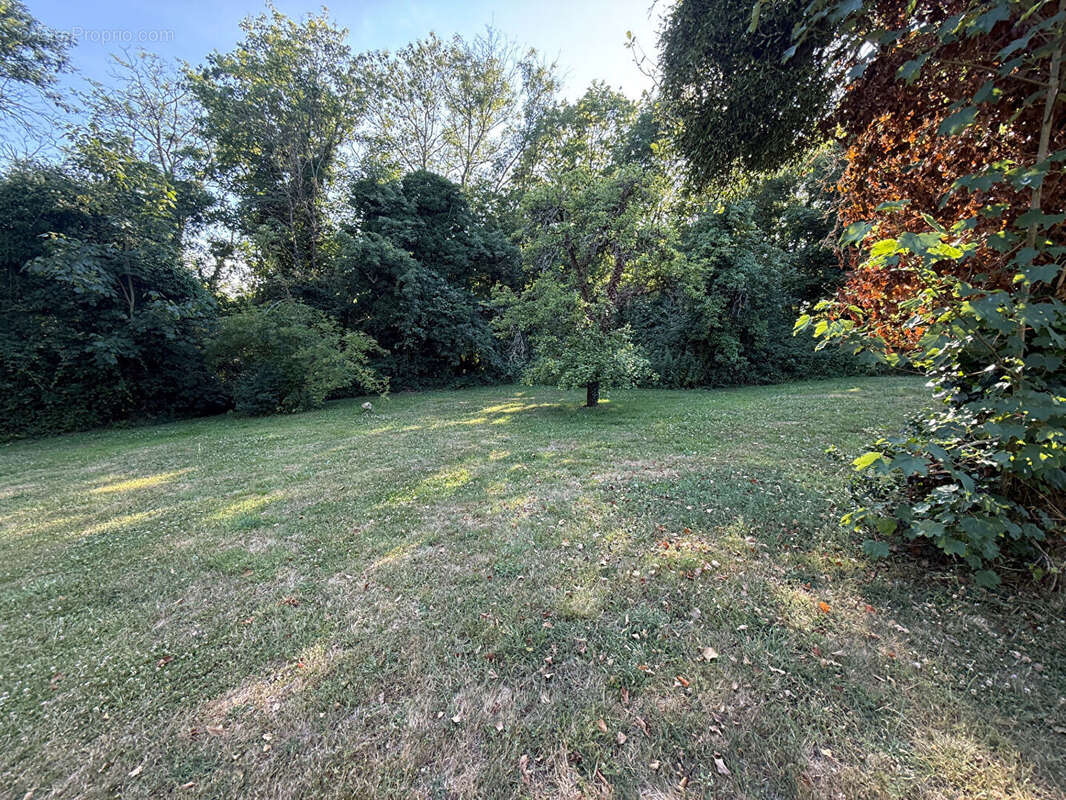 Terrain à CHEVREUSE