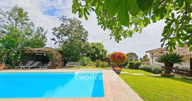 Villa d'exception 215 m² à Marina di Fiori – Calme absolu, piscine et climatisation - photo 3