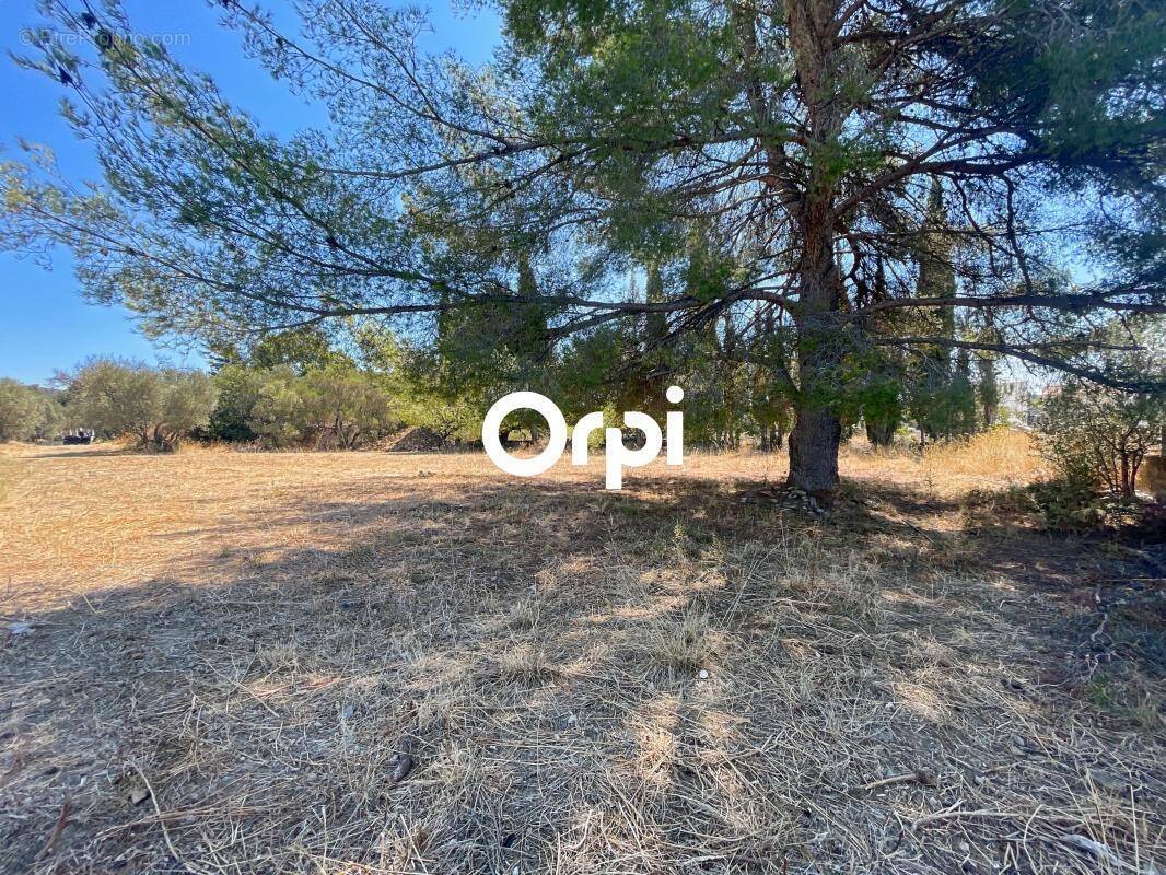 Terrain à LA CIOTAT