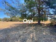 Terrain à LA CIOTAT