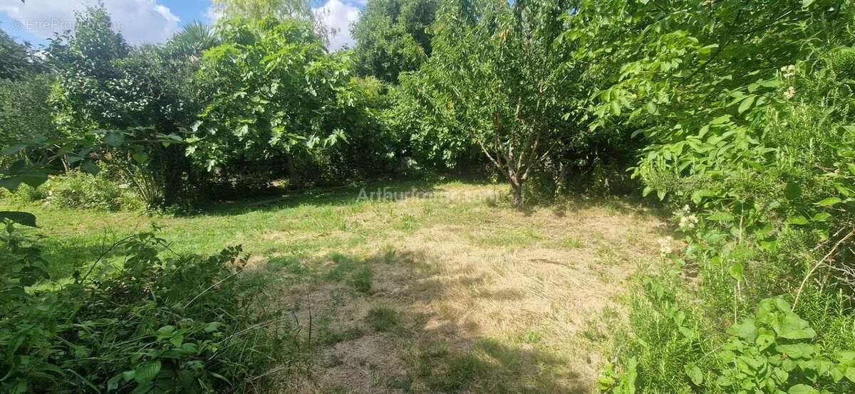 Terrain à CHALIFERT