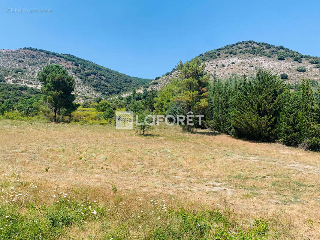 Terrain Sournia 4880 m2 - photo 2