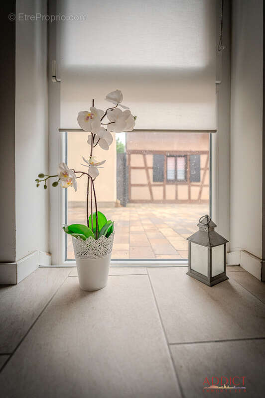 Appartement à QUATZENHEIM