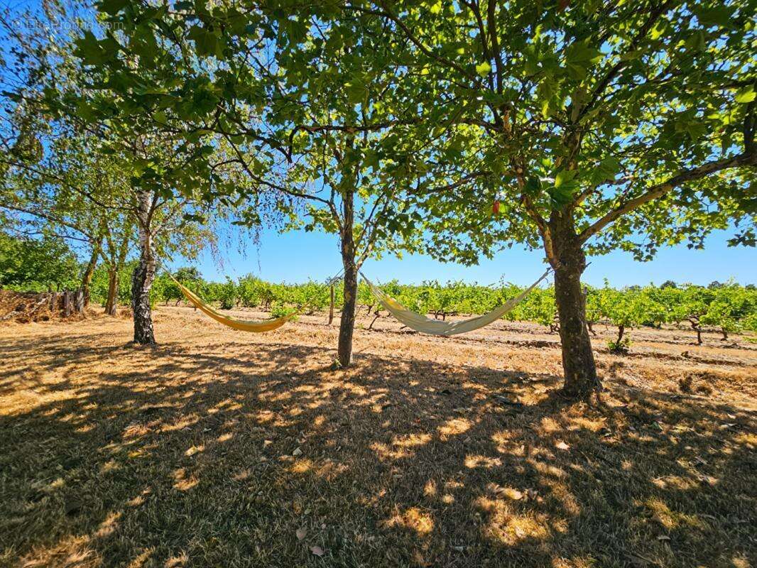 Bellevigne-en-Layon - Propriété de 250 m²  - 2 habitations - Piscine chauffée - Plus d'1 hectare de terrain - photo 12