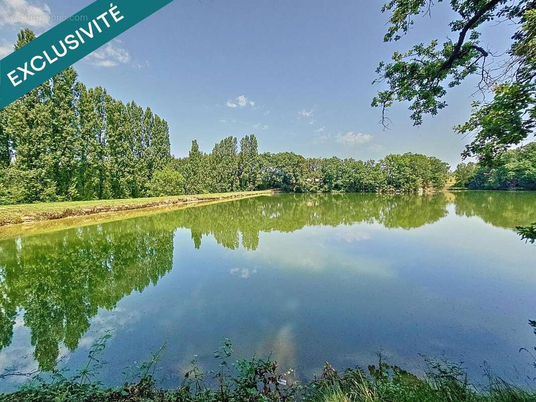 Photo 9 - Maison à MONFLANQUIN