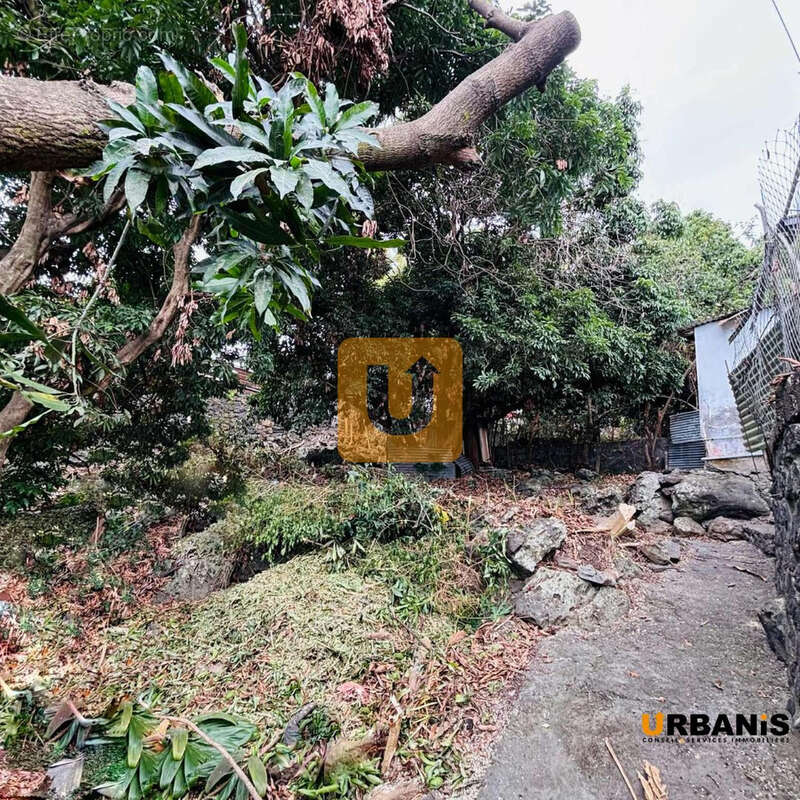 Terrain à SAINT-PAUL