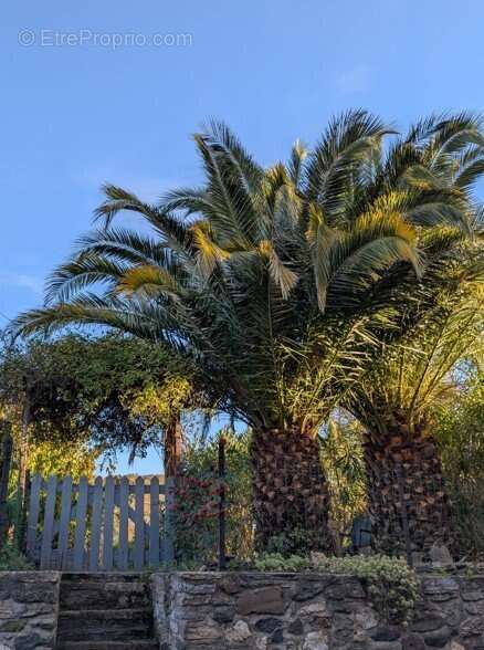 Photo 9 - Maison à FOS