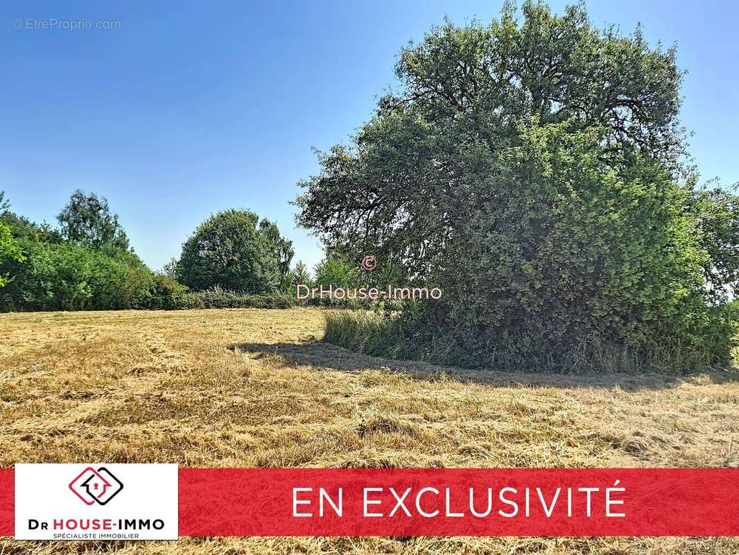 Terrain 1 287 m² à vendre à Brion (89400) - photo 6