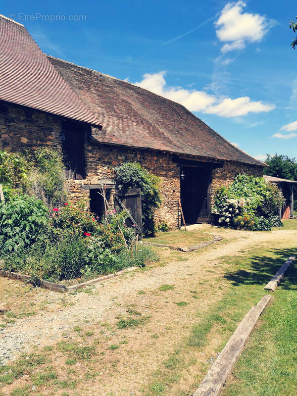 Maison d'artiste avec jardin botanique, source - Terrain 1,6 hectare - photo 18