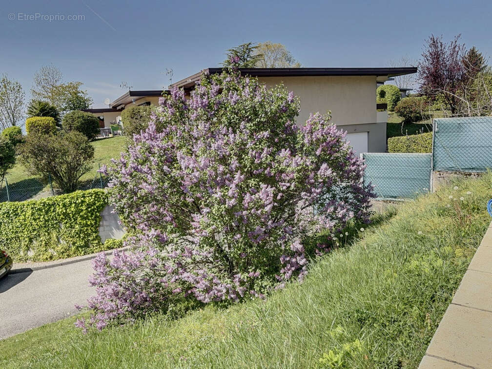 Maison à THONON-LES-BAINS