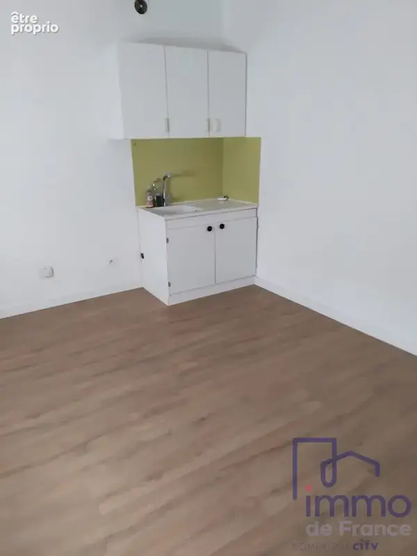 Appartement 2 pièces 33 m² à vendre à Panissieres (42360) - photo 2