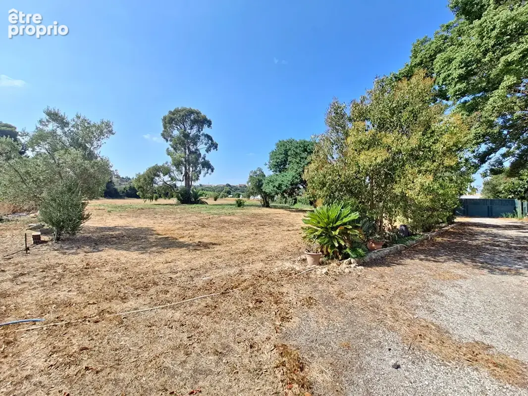 Perpigna Sud Est Maison de Type 4  de145m2 sur 6800m2 de terrain - photo 6