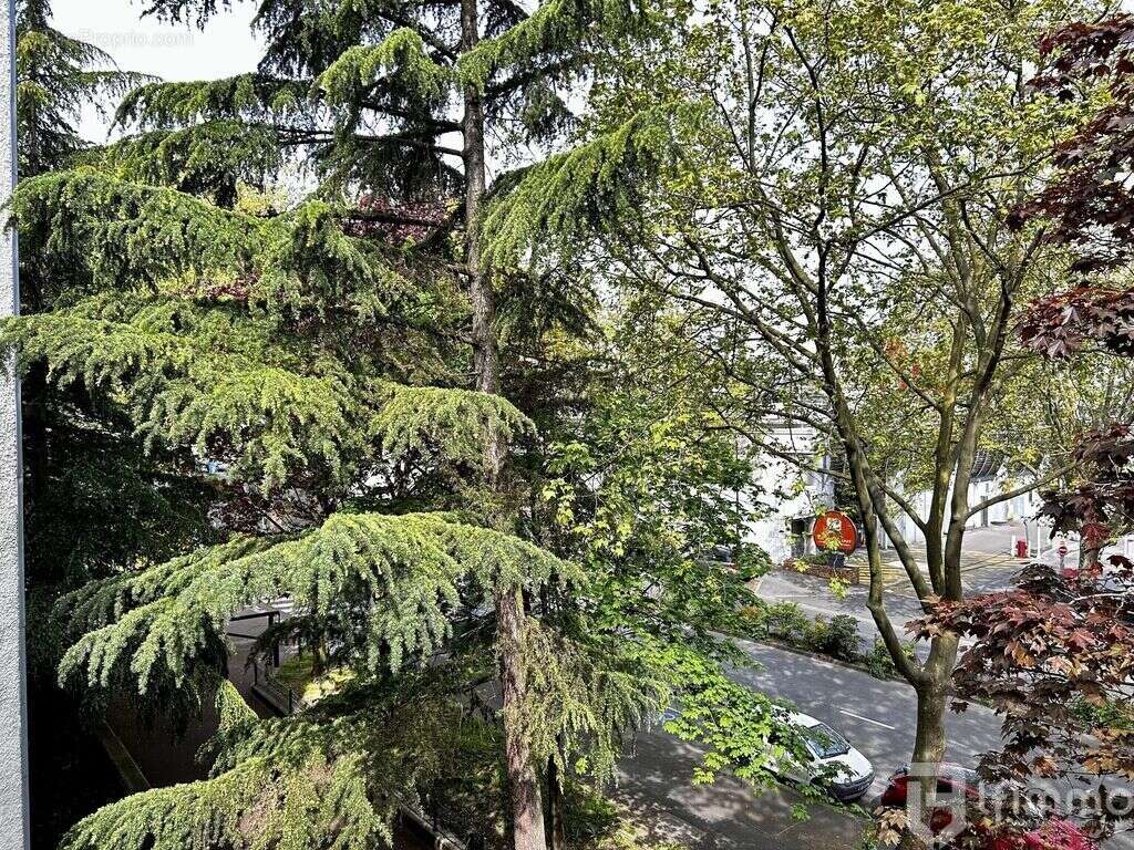 Appartement à FONTENAY-SOUS-BOIS