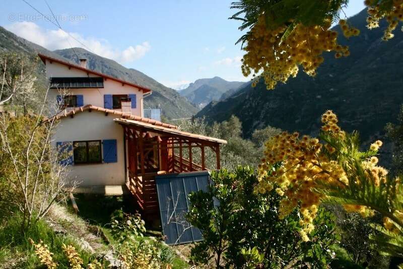 Maison à BREIL-SUR-ROYA