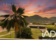 Photo 1 - Appartement à SAINT-MARTIN