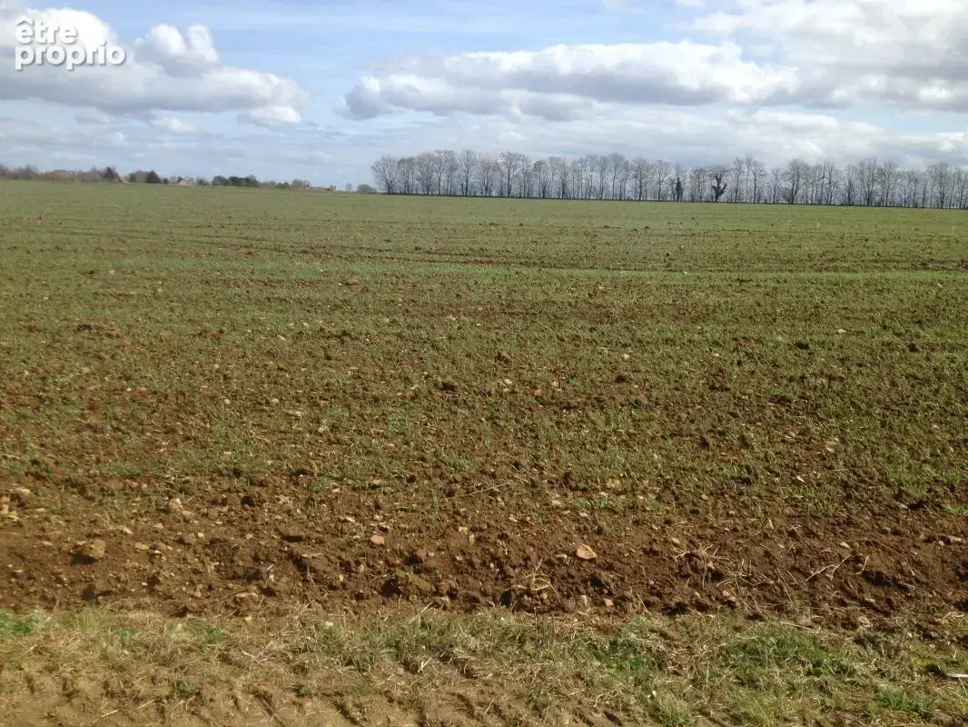 Terrain à VILLONS-LES-BUISSONS