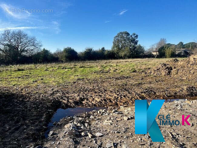 Terrain à TALMONT-SAINT-HILAIRE